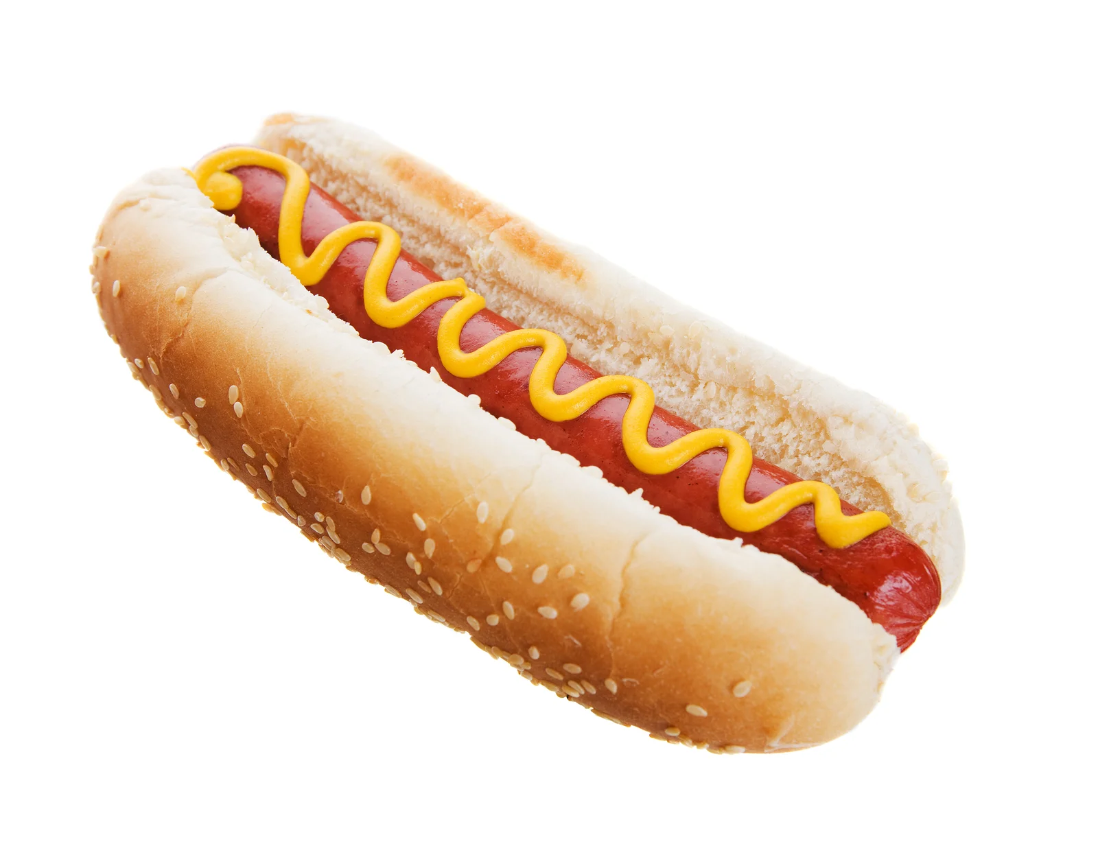 Game Day Hot Dog Steamer Back in Stock for Football Season, image size:1600x1230