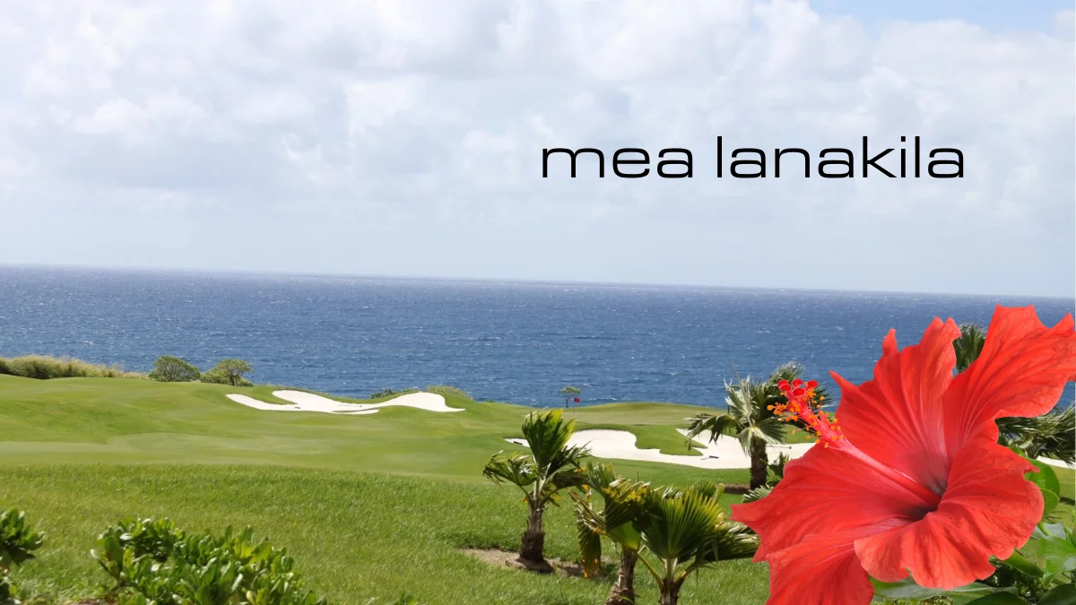 Smith came out on top at 34 under on the week